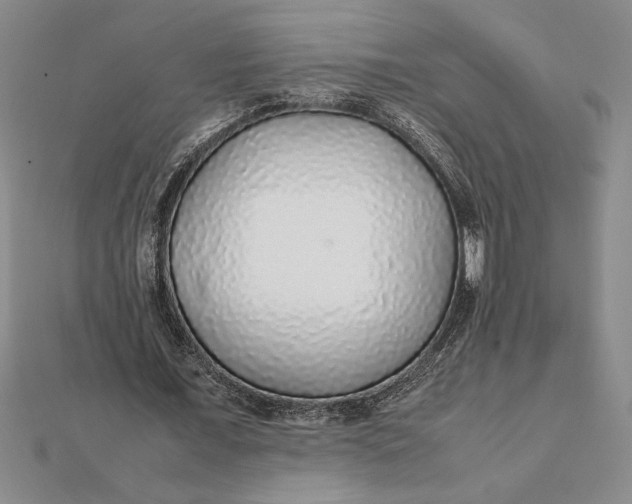 X0000112110675200908251212