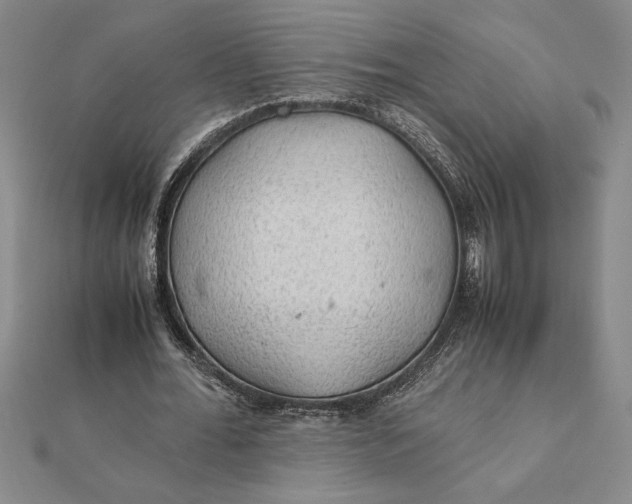 X0000112110676200908251212