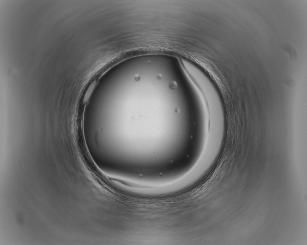 X0000112110677200908251212