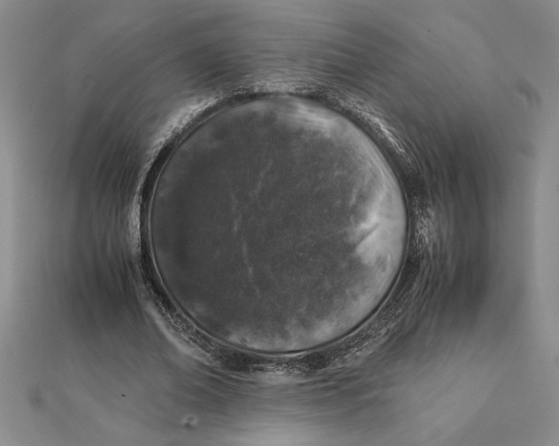 X0000112110678200908251212