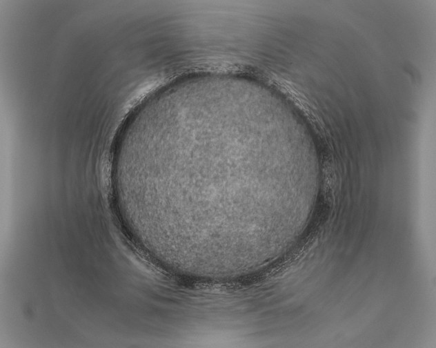 X0000112110679200908251212