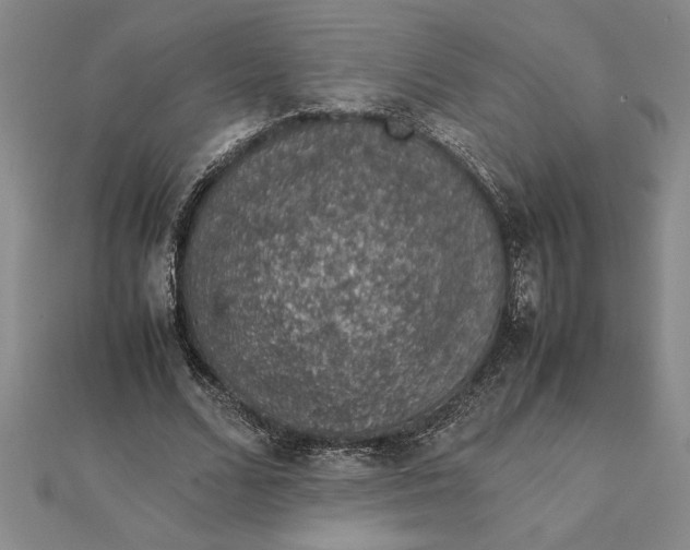 X0000112110680200908251212