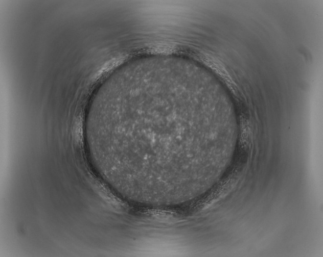 X0000112110681200908251212