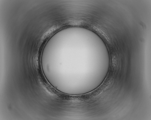 X0000112110682200908251212