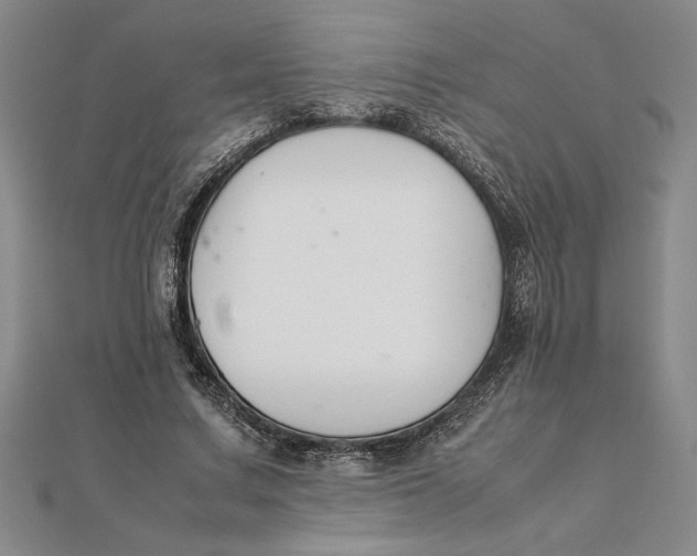 X0000112110683200908251212