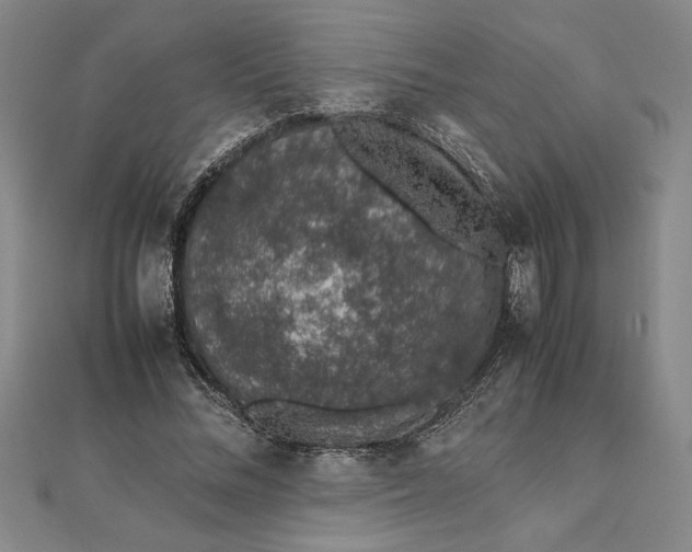 X0000112110684200908251212