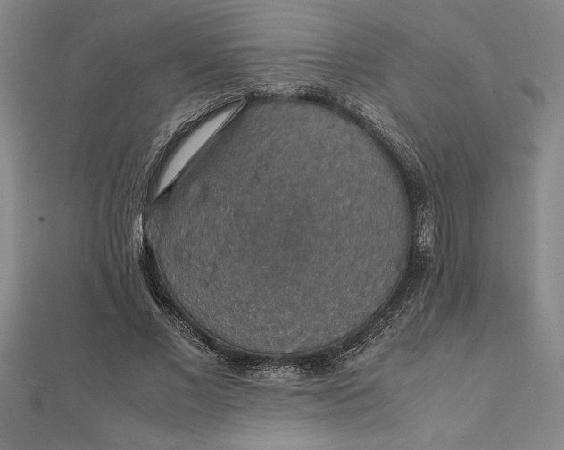 X0000112110685200908251212