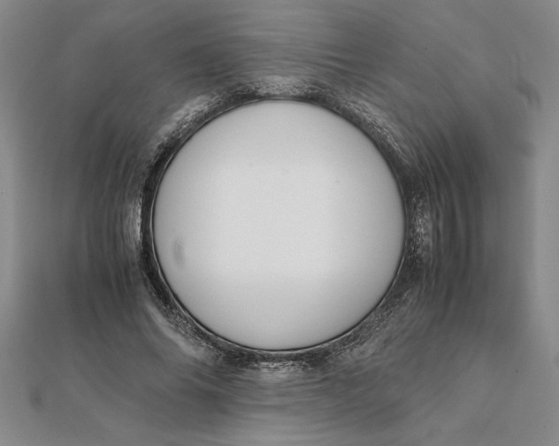 X0000112110686200908251212