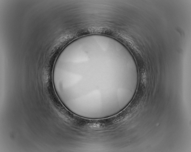 X0000112110687200908251212