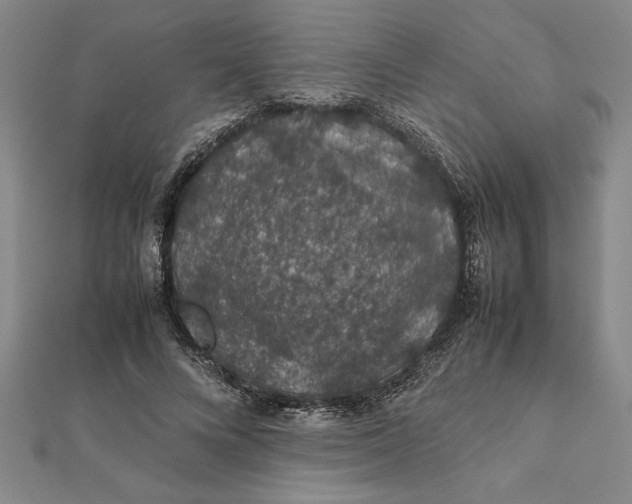 X0000112110688200908251212