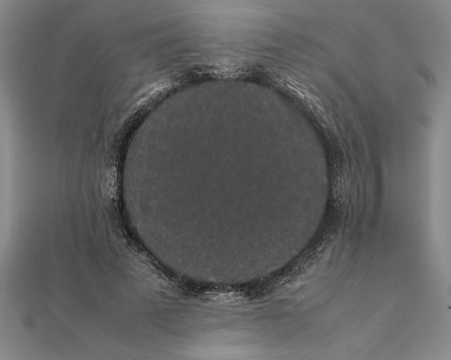 X0000112110689200908251212