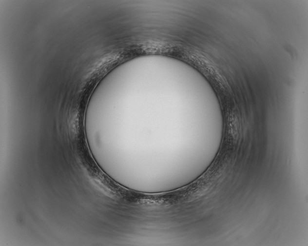 X0000112110690200908251212