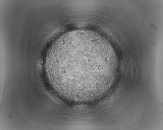 X0000112110691200908251212