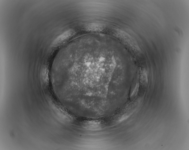 X0000112110692200908251212