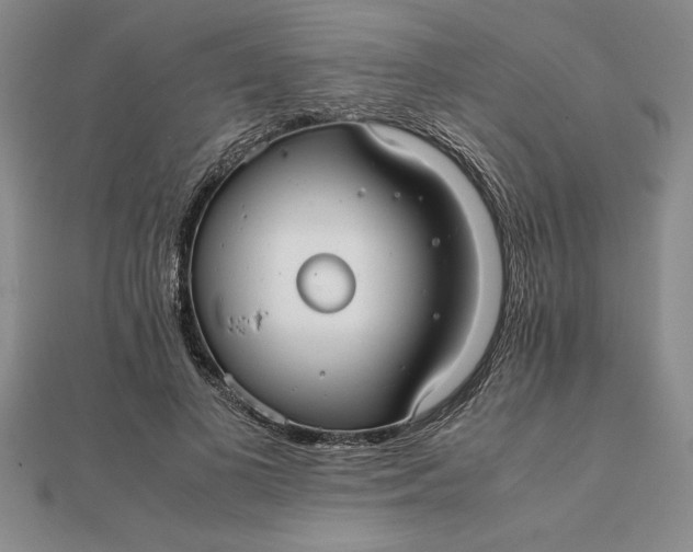 X0000112110693200908251212