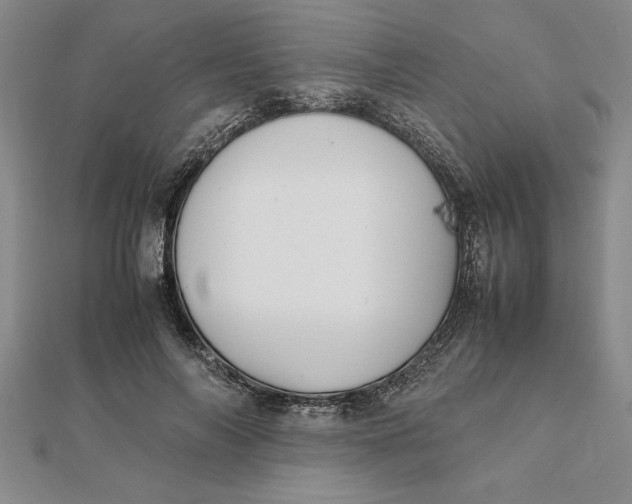 X0000112110694200908251212