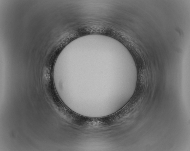 X0000112110695200908251212