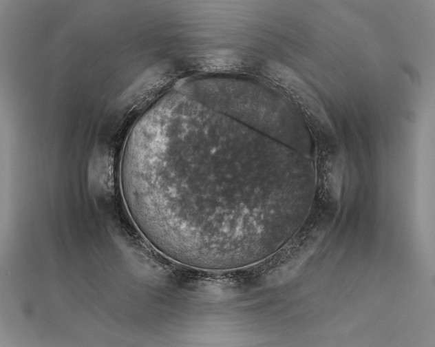 X0000112110696200908251212