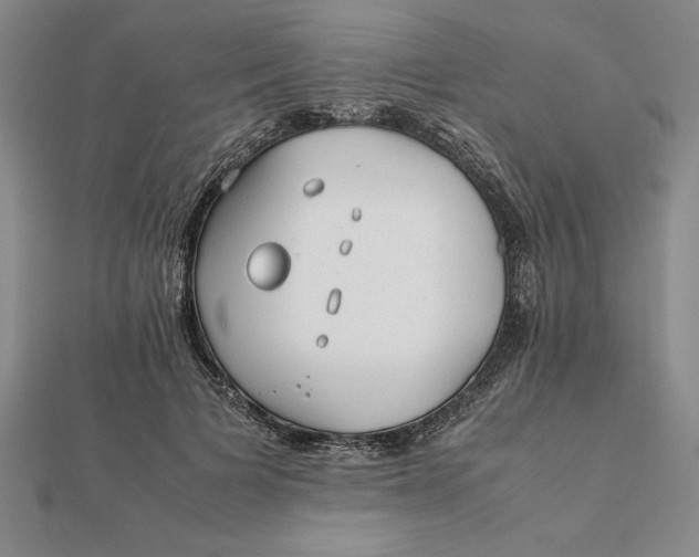 X0000112110697200908251212