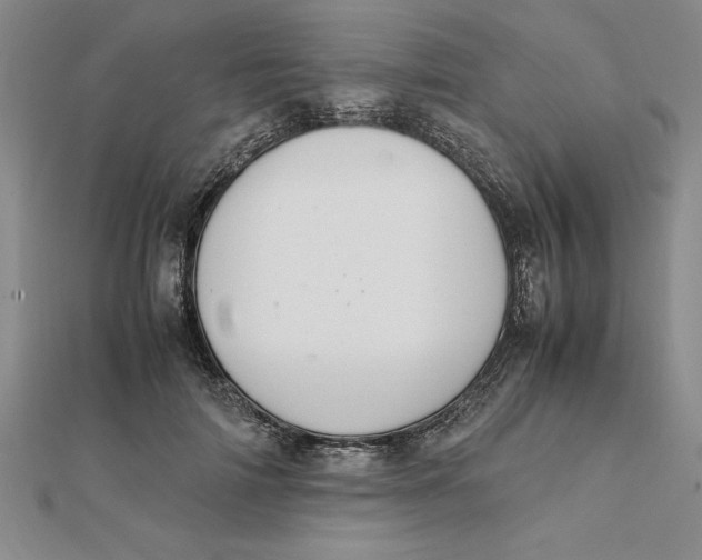 X0000112110698200908251212