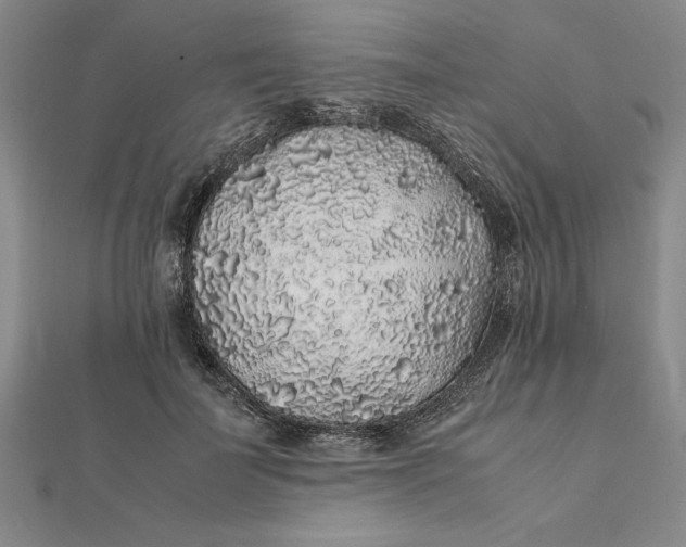 X0000112110699200908251212