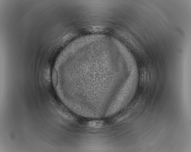 X0000112110700200908251212