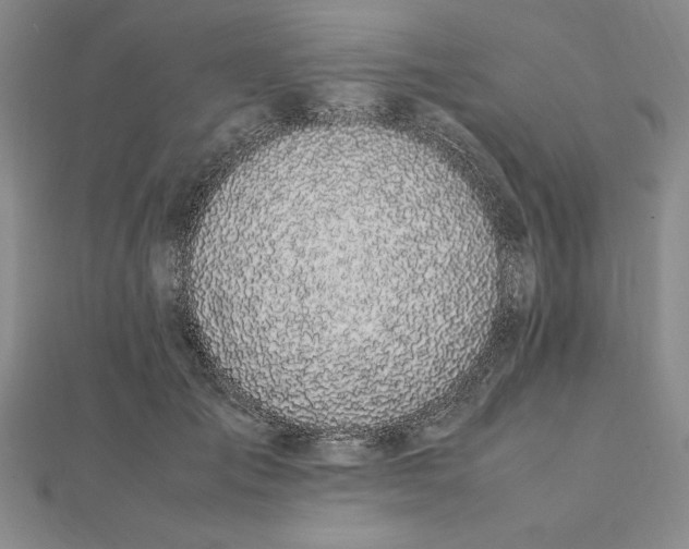 X0000112110701200908251212