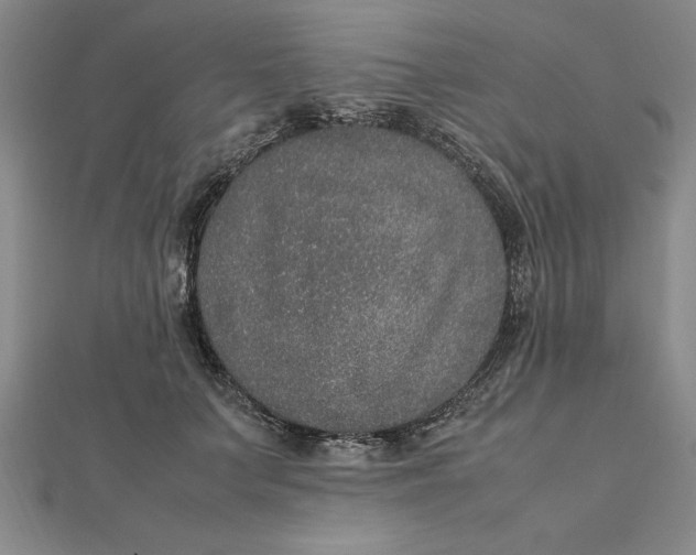 X0000112110703200908251212