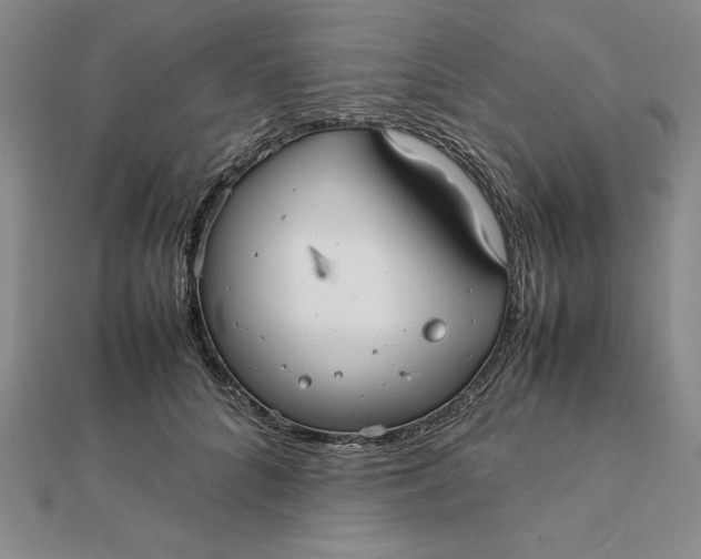 X0000112110704200908251212