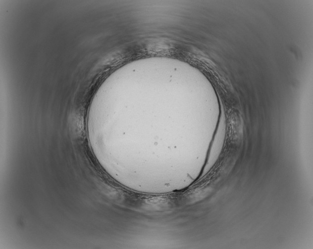 X0000112110705200908251212