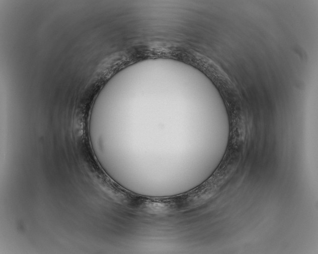 X0000112110706200908251212