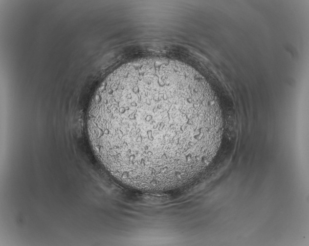 X0000112110707200908251212