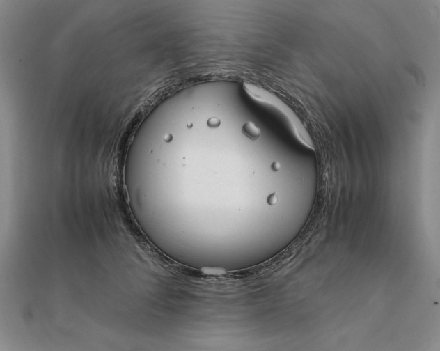 X0000112110708200908251212