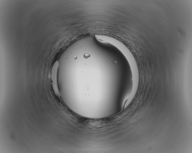 X0000112110709200908251212