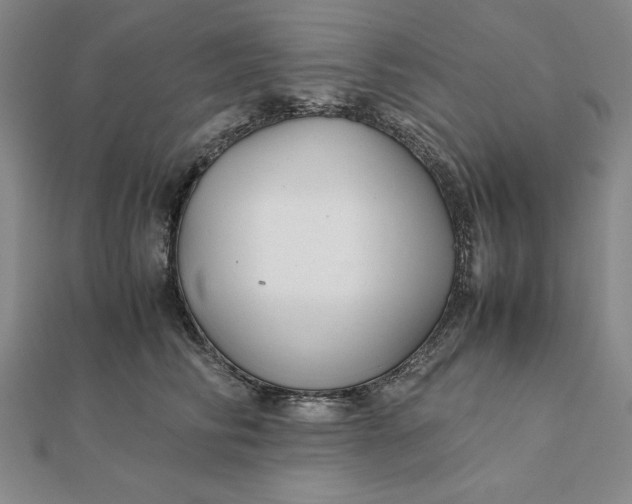 X0000112110710200908251212