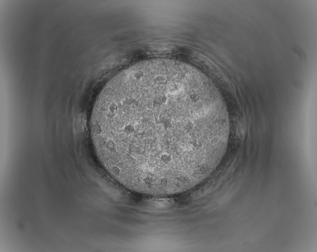 X0000112110711200908251212