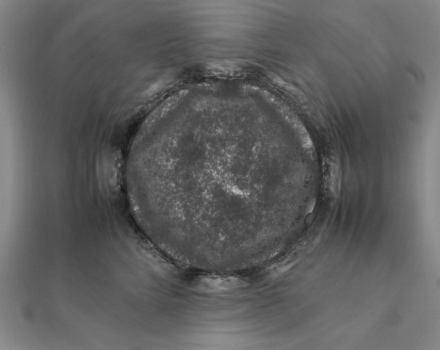 X0000112110712200908251212