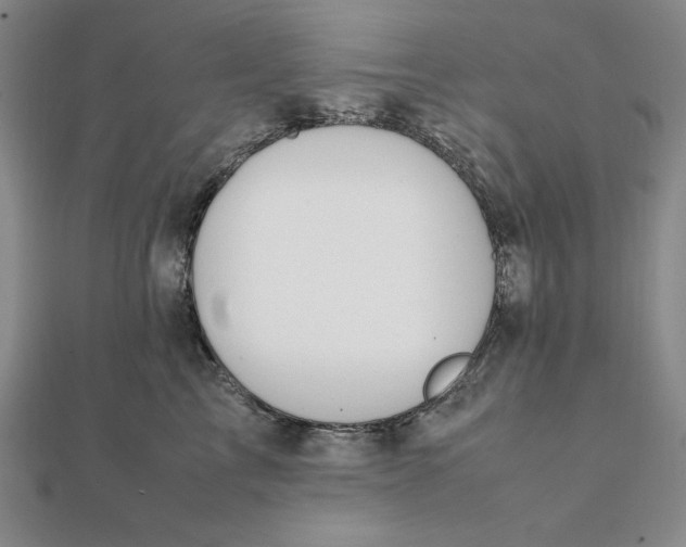 X0000112110713200908251212