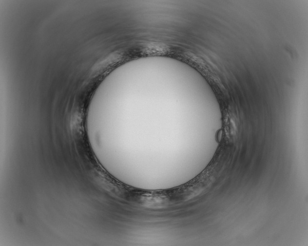 X0000112110714200908251212