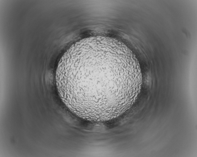 X0000112110715200908251212