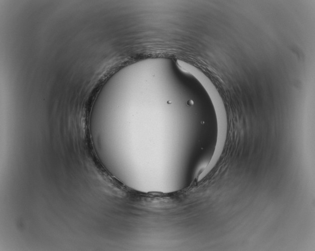 X0000112110716200908251212