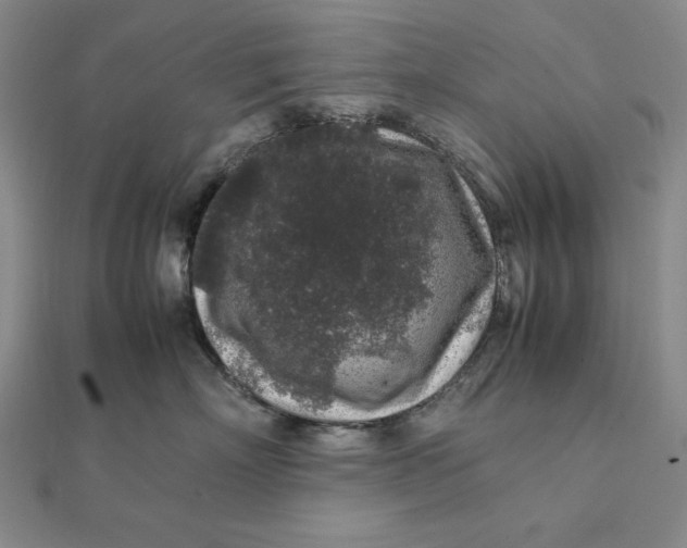 X0000112110718200908251212