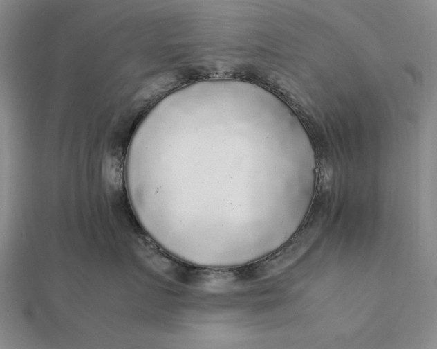 X0000112110719200908251211