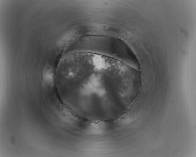 X0000112110720200908251211