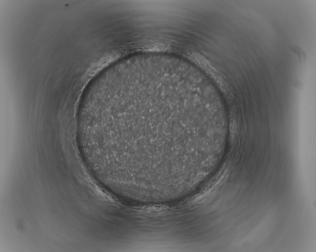 X0000112110721200908251211