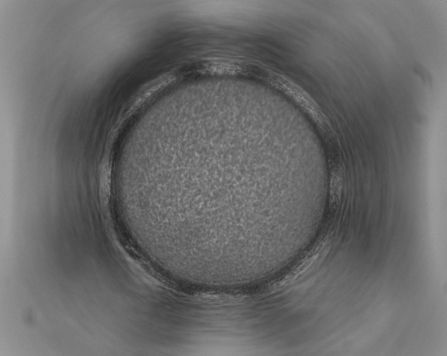 X0000112110722200908251211