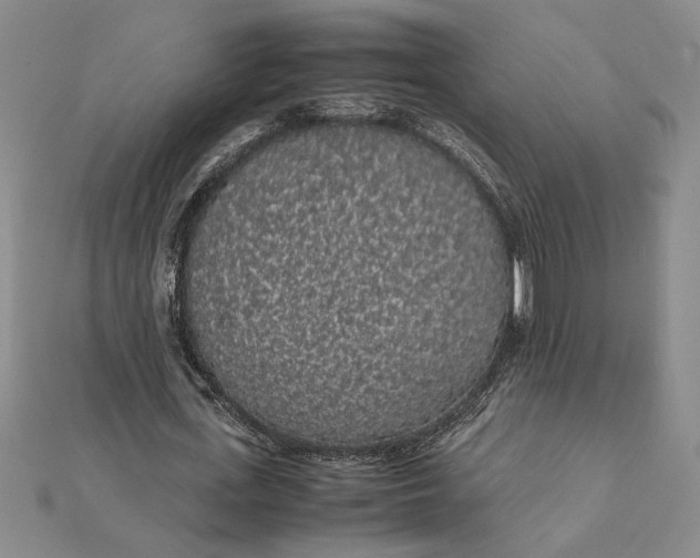 X0000112110723200908251211