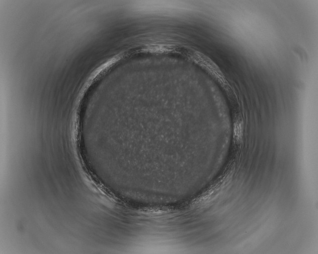 X0000112110724200908251211