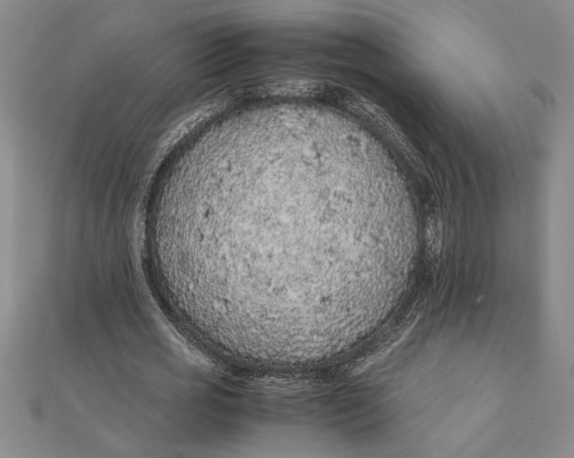 X0000112110725200908251211