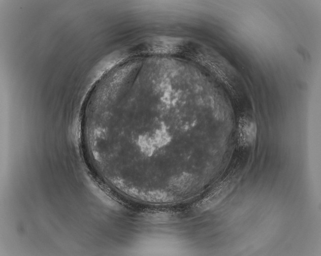 X0000112110726200908251211